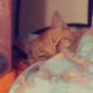 Meet your Posher, Jenny